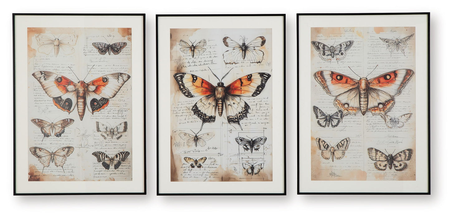 Jossletts - Wall Art Set (Set of 3) - Orange / Black / Ivory – Framed Print Sets by Signature Design by Ashley® at Furniture Wholesale Plus , Nashville furniture store