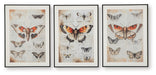 Jossletts - Wall Art Set (Set of 3) - Orange / Black / Ivory – Framed Print Sets by Signature Design by Ashley® at Furniture Wholesale Plus , Nashville furniture store