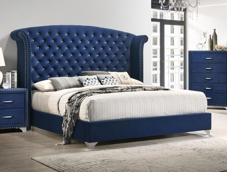Melody - Upholstered Wingback Bed – Upholstered Beds by CoasterEveryday at Furniture Wholesale Plus , Nashville furniture store