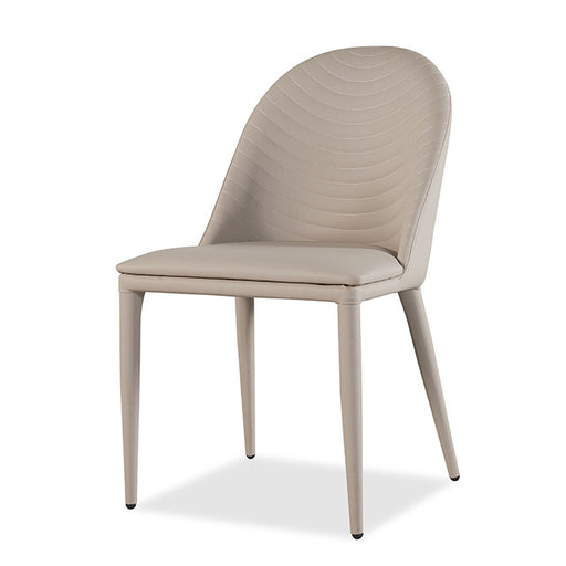 Lenvik Side Chair (2/CTN) - Premium Dining Chair from FOA East - Just $351! Shop now at Furniture Wholesale Plus  We are the best furniture store in Nashville, Hendersonville, Goodlettsville, Madison, Antioch, Mount Juliet, Lebanon, Gallatin, Springfield, Murfreesboro, Franklin, Brentwood