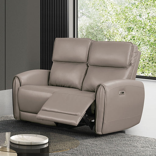 Schlieren Power Loveseat - Premium Loveseat from FOA East - Just $819! Shop now at Furniture Wholesale Plus  We are the best furniture store in Nashville, Hendersonville, Goodlettsville, Madison, Antioch, Mount Juliet, Lebanon, Gallatin, Springfield, Murfreesboro, Franklin, Brentwood