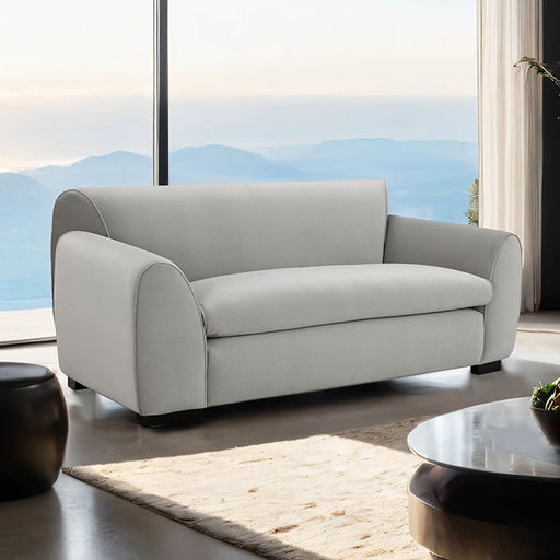 Severo Loveseat - Premium Loveseat from FOA East - Just $1014! Shop now at Furniture Wholesale Plus  We are the best furniture store in Nashville, Hendersonville, Goodlettsville, Madison, Antioch, Mount Juliet, Lebanon, Gallatin, Springfield, Murfreesboro, Franklin, Brentwood