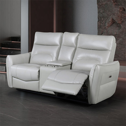 Terentius Power Loveseat - Premium Loveseat from FOA East - Just $1209! Shop now at Furniture Wholesale Plus  We are the best furniture store in Nashville, Hendersonville, Goodlettsville, Madison, Antioch, Mount Juliet, Lebanon, Gallatin, Springfield, Murfreesboro, Franklin, Brentwood