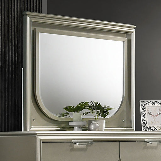 Sheridan Mirror - Premium Mirror from FOA East - Just $253.50! Shop now at Furniture Wholesale Plus  We are the best furniture store in Nashville, Hendersonville, Goodlettsville, Madison, Antioch, Mount Juliet, Lebanon, Gallatin, Springfield, Murfreesboro, Franklin, Brentwood