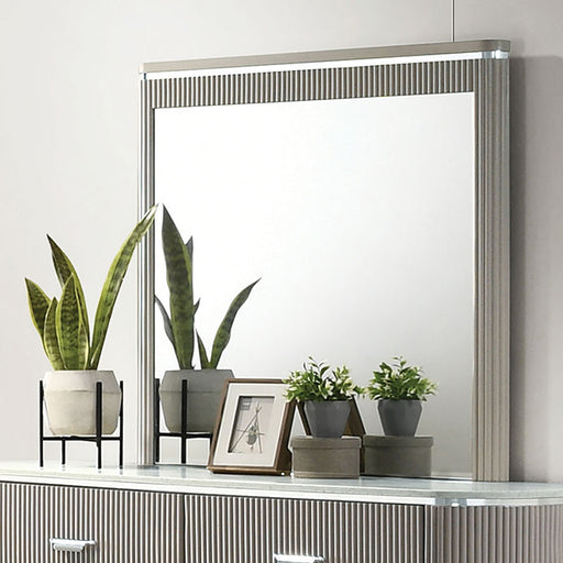 Aldridge Mirror - Premium Mirror from FOA East - Just $273! Shop now at Furniture Wholesale Plus  We are the best furniture store in Nashville, Hendersonville, Goodlettsville, Madison, Antioch, Mount Juliet, Lebanon, Gallatin, Springfield, Murfreesboro, Franklin, Brentwood