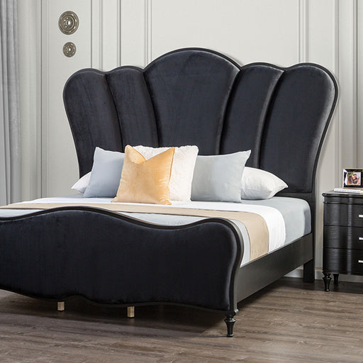 Melodi Parc E.King Bed - Premium Bed from FOA East - Just $1129.05! Shop now at Furniture Wholesale Plus  We are the best furniture store in Nashville, Hendersonville, Goodlettsville, Madison, Antioch, Mount Juliet, Lebanon, Gallatin, Springfield, Murfreesboro, Franklin, Brentwood