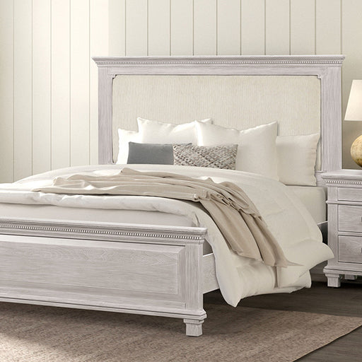 Swanley Queen Bed - Premium Bed from FOA East - Just $583.05! Shop now at Furniture Wholesale Plus  We are the best furniture store in Nashville, Hendersonville, Goodlettsville, Madison, Antioch, Mount Juliet, Lebanon, Gallatin, Springfield, Murfreesboro, Franklin, Brentwood