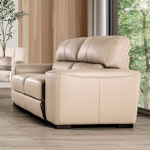 Marsicano Loveseat - Premium Loveseat from FOA East - Just $1948.05! Shop now at Furniture Wholesale Plus  We are the best furniture store in Nashville, Hendersonville, Goodlettsville, Madison, Antioch, Mount Juliet, Lebanon, Gallatin, Springfield, Murfreesboro, Franklin, Brentwood