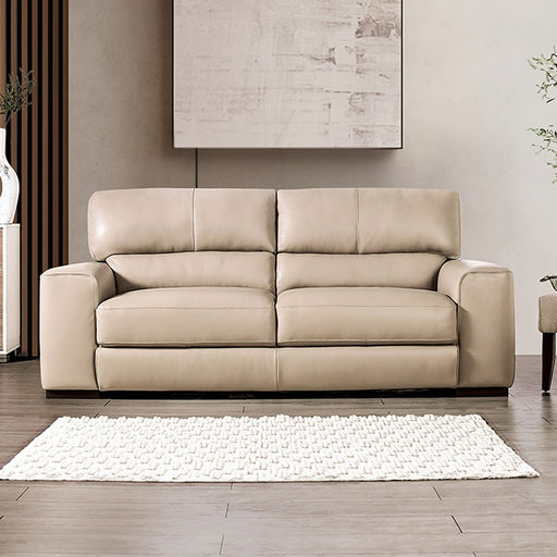 Marsicano Sofa - Premium Sofa from FOA East - Just $2340! Shop now at Furniture Wholesale Plus  We are the best furniture store in Nashville, Hendersonville, Goodlettsville, Madison, Antioch, Mount Juliet, Lebanon, Gallatin, Springfield, Murfreesboro, Franklin, Brentwood