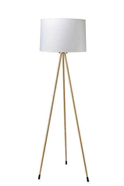 Zera Floor Lamp - Premium Lamp from FOA East - Just $134.55! Shop now at Furniture Wholesale Plus  We are the best furniture store in Nashville, Hendersonville, Goodlettsville, Madison, Antioch, Mount Juliet, Lebanon, Gallatin, Springfield, Murfreesboro, Franklin, Brentwood