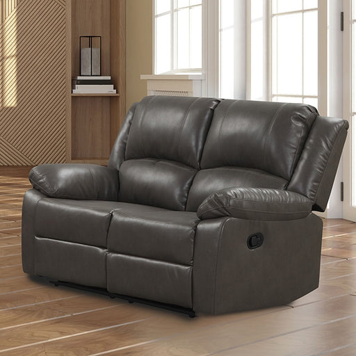 Letha Manual Loveseat - Premium Loveseat from FOA East - Just $624! Shop now at Furniture Wholesale Plus  We are the best furniture store in Nashville, Hendersonville, Goodlettsville, Madison, Antioch, Mount Juliet, Lebanon, Gallatin, Springfield, Murfreesboro, Franklin, Brentwood