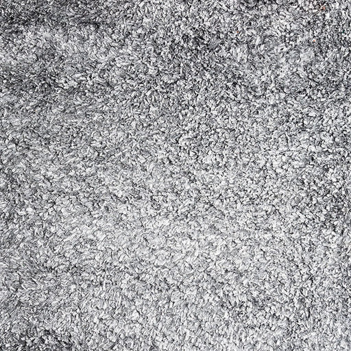 Annmarie Silver 5' X 8' Area Rug - Premium Rug from FOA East - Just $329.55! Shop now at Furniture Wholesale Plus  We are the best furniture store in Nashville, Hendersonville, Goodlettsville, Madison, Antioch, Mount Juliet, Lebanon, Gallatin, Springfield, Murfreesboro, Franklin, Brentwood