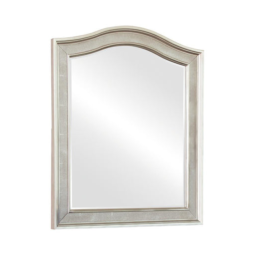 Bling Game Vanity Mirror With Arched Top - Premium Vanity Mirror from Coaster Z2 Standard - Just $180! Shop now at Furniture Wholesale Plus  We are the best furniture store in Nashville, Hendersonville, Goodlettsville, Madison, Antioch, Mount Juliet, Lebanon, Gallatin, Springfield, Murfreesboro, Franklin, Brentwood