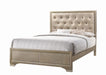 Beaumont Transitional Champagne Eastern King Bed - Premium Bed from Coaster Z2 Standard - Just $570! Shop now at Furniture Wholesale Plus  We are the best furniture store in Nashville, Hendersonville, Goodlettsville, Madison, Antioch, Mount Juliet, Lebanon, Gallatin, Springfield, Murfreesboro, Franklin, Brentwood
