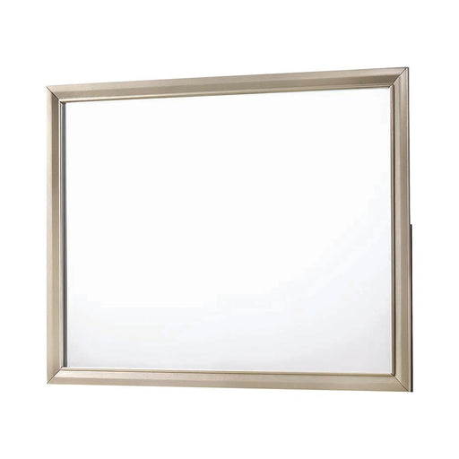 Beaumont Transitional Champagne Mirror - Premium Mirror from Coaster Z2 Standard - Just $148! Shop now at Furniture Wholesale Plus  We are the best furniture store in Nashville, Hendersonville, Goodlettsville, Madison, Antioch, Mount Juliet, Lebanon, Gallatin, Springfield, Murfreesboro, Franklin, Brentwood
