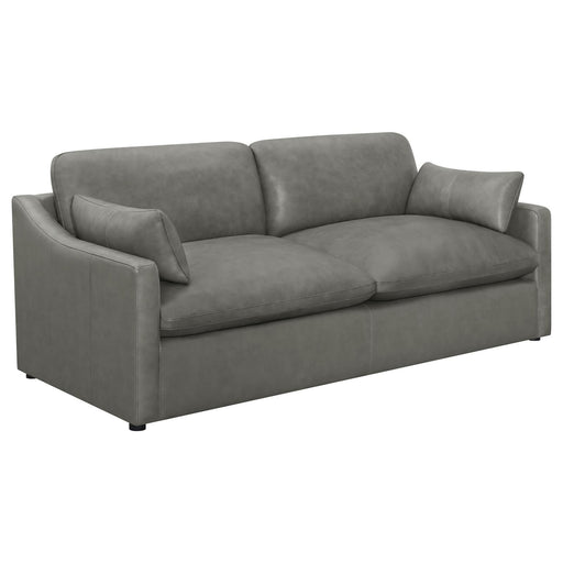 G506771 Sofa - Premium Sofa from Coaster Z2 Standard - Just $1638! Shop now at Furniture Wholesale Plus  We are the best furniture store in Nashville, Hendersonville, Goodlettsville, Madison, Antioch, Mount Juliet, Lebanon, Gallatin, Springfield, Murfreesboro, Franklin, Brentwood