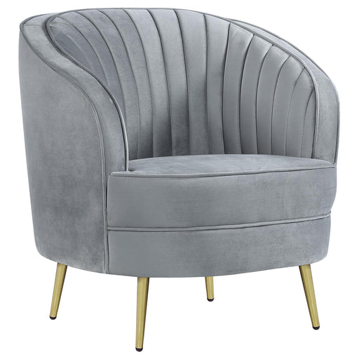 Sophia Upholstered Chair - Premium Chair from Coaster Z2 Standard - Just $380! Shop now at Furniture Wholesale Plus  We are the best furniture store in Nashville, Hendersonville, Goodlettsville, Madison, Antioch, Mount Juliet, Lebanon, Gallatin, Springfield, Murfreesboro, Franklin, Brentwood