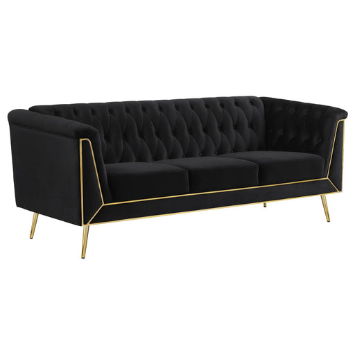 Sofa   508441 - Premium Sofa from Coaster Z2 Standard - Just $898! Shop now at Furniture Wholesale Plus  We are the best furniture store in Nashville, Hendersonville, Goodlettsville, Madison, Antioch, Mount Juliet, Lebanon, Gallatin, Springfield, Murfreesboro, Franklin, Brentwood