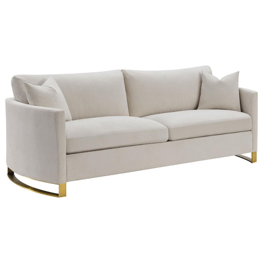 G508821 Sofa - Premium Sofa from Coaster Z2 Standard - Just $1098! Shop now at Furniture Wholesale Plus  We are the best furniture store in Nashville, Hendersonville, Goodlettsville, Madison, Antioch, Mount Juliet, Lebanon, Gallatin, Springfield, Murfreesboro, Franklin, Brentwood
