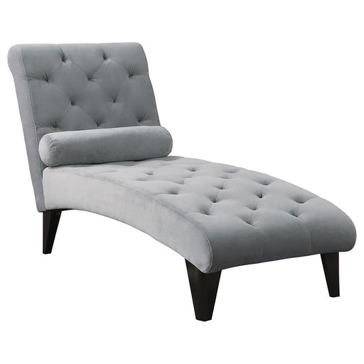 Transitional Grey Chaise - Premium Chaise from Coaster Z2 Standard - Just $398! Shop now at Furniture Wholesale Plus  We are the best furniture store in Nashville, Hendersonville, Goodlettsville, Madison, Antioch, Mount Juliet, Lebanon, Gallatin, Springfield, Murfreesboro, Franklin, Brentwood
