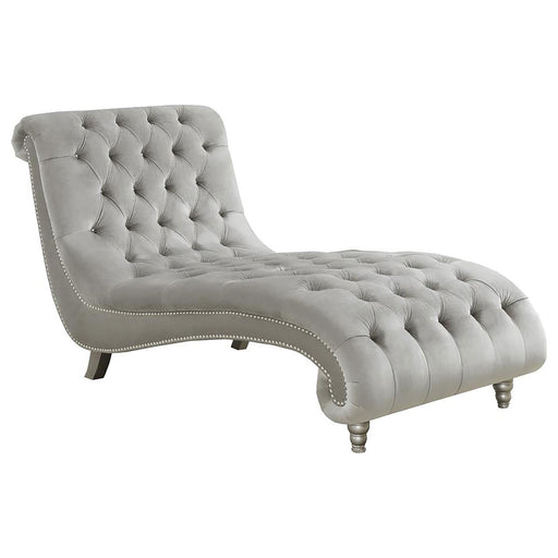 905468 CHAISE - Premium Chaise from Coaster Z2 Standard - Just $858! Shop now at Furniture Wholesale Plus  We are the best furniture store in Nashville, Hendersonville, Goodlettsville, Madison, Antioch, Mount Juliet, Lebanon, Gallatin, Springfield, Murfreesboro, Franklin, Brentwood