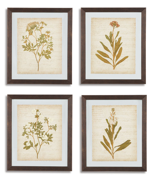 Dyani Wall Art (Set of 4) - Premium Wall Art from Ashley Furniture - Just $143.33! Shop now at Furniture Wholesale Plus  We are the best furniture store in Nashville, Hendersonville, Goodlettsville, Madison, Antioch, Mount Juliet, Lebanon, Gallatin, Springfield, Murfreesboro, Franklin, Brentwood