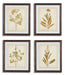 Dyani Wall Art (Set of 4) - Premium Wall Art from Ashley Furniture - Just $143.33! Shop now at Furniture Wholesale Plus  We are the best furniture store in Nashville, Hendersonville, Goodlettsville, Madison, Antioch, Mount Juliet, Lebanon, Gallatin, Springfield, Murfreesboro, Franklin, Brentwood