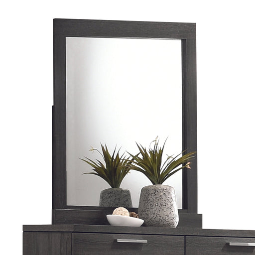 Lantha Gray Oak Mirror - Premium Mirror from ACME East - Just $146.25! Shop now at Furniture Wholesale Plus  We are the best furniture store in Nashville, Hendersonville, Goodlettsville, Madison, Antioch, Mount Juliet, Lebanon, Gallatin, Springfield, Murfreesboro, Franklin, Brentwood