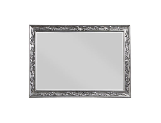 Leonora Vintage Platinum Mirror - Premium Mirror from ACME East - Just $321.75! Shop now at Furniture Wholesale Plus  We are the best furniture store in Nashville, Hendersonville, Goodlettsville, Madison, Antioch, Mount Juliet, Lebanon, Gallatin, Springfield, Murfreesboro, Franklin, Brentwood