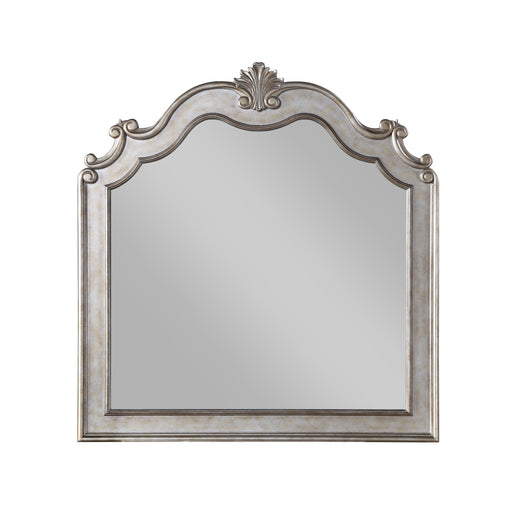 Esteban Antique Champagne Mirror - Premium Mirror from ACME East - Just $349.05! Shop now at Furniture Wholesale Plus  We are the best furniture store in Nashville, Hendersonville, Goodlettsville, Madison, Antioch, Mount Juliet, Lebanon, Gallatin, Springfield, Murfreesboro, Franklin, Brentwood