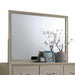 Carine Champagne Mirror - Premium Mirror from ACME East - Just $157.95! Shop now at Furniture Wholesale Plus  We are the best furniture store in Nashville, Hendersonville, Goodlettsville, Madison, Antioch, Mount Juliet, Lebanon, Gallatin, Springfield, Murfreesboro, Franklin, Brentwood