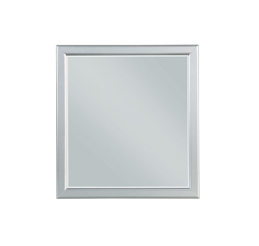 Louis Philippe III Platinum Mirror - Premium Mirror from ACME East - Just $91.65! Shop now at Furniture Wholesale Plus  We are the best furniture store in Nashville, Hendersonville, Goodlettsville, Madison, Antioch, Mount Juliet, Lebanon, Gallatin, Springfield, Murfreesboro, Franklin, Brentwood