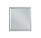 Louis Philippe Platinum Mirror - Premium Mirror from ACME East - Just $81.90! Shop now at Furniture Wholesale Plus  We are the best furniture store in Nashville, Hendersonville, Goodlettsville, Madison, Antioch, Mount Juliet, Lebanon, Gallatin, Springfield, Murfreesboro, Franklin, Brentwood
