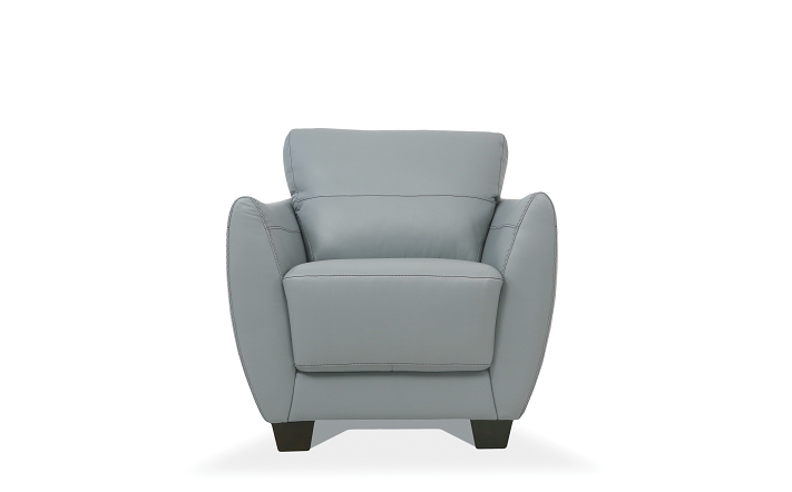 Valeria Watery Leather Chair - Premium Chair from ACME East - Just $1671.15! Shop now at Furniture Wholesale Plus  We are the best furniture store in Nashville, Hendersonville, Goodlettsville, Madison, Antioch, Mount Juliet, Lebanon, Gallatin, Springfield, Murfreesboro, Franklin, Brentwood