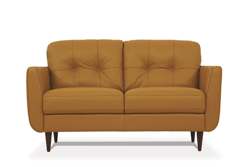 Radwan Camel Leather Loveseat - Premium Loveseat from ACME East - Just $2716.35! Shop now at Furniture Wholesale Plus  We are the best furniture store in Nashville, Hendersonville, Goodlettsville, Madison, Antioch, Mount Juliet, Lebanon, Gallatin, Springfield, Murfreesboro, Franklin, Brentwood