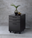 Peden Black File Cabinet - Premium File Cabinet from ACME East - Just $249.60! Shop now at Furniture Wholesale Plus  We are the best furniture store in Nashville, Hendersonville, Goodlettsville, Madison, Antioch, Mount Juliet, Lebanon, Gallatin, Springfield, Murfreesboro, Franklin, Brentwood