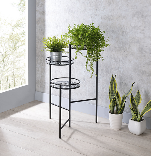 Namid Black Plant Stand - Premium Plant Stand from ACME East - Just $134.55! Shop now at Furniture Wholesale Plus  We are the best furniture store in Nashville, Hendersonville, Goodlettsville, Madison, Antioch, Mount Juliet, Lebanon, Gallatin, Springfield, Murfreesboro, Franklin, Brentwood