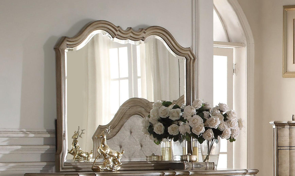 Acme Chelmsford Landscape Mirror in Antique Taupe 26054 - Premium Mirror from ACME East - Just $390! Shop now at Furniture Wholesale Plus  We are the best furniture store in Nashville, Hendersonville, Goodlettsville, Madison, Antioch, Mount Juliet, Lebanon, Gallatin, Springfield, Murfreesboro, Franklin, Brentwood