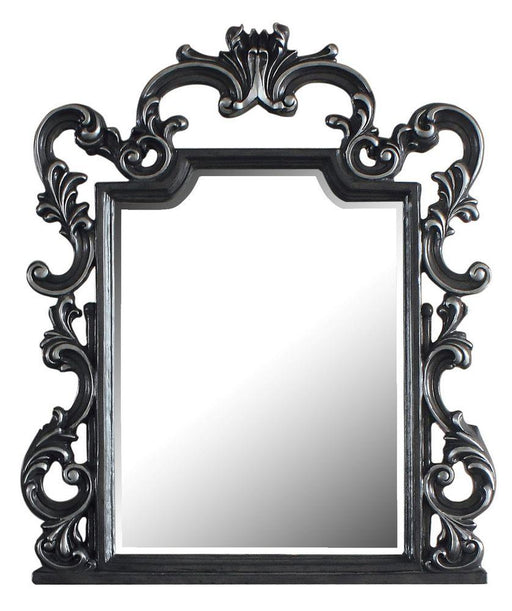 Acme Furniture House Delphine Mirror in Charcoal 28834 - Premium Mirror from ACME East - Just $493.35! Shop now at Furniture Wholesale Plus  We are the best furniture store in Nashville, Hendersonville, Goodlettsville, Madison, Antioch, Mount Juliet, Lebanon, Gallatin, Springfield, Murfreesboro, Franklin, Brentwood