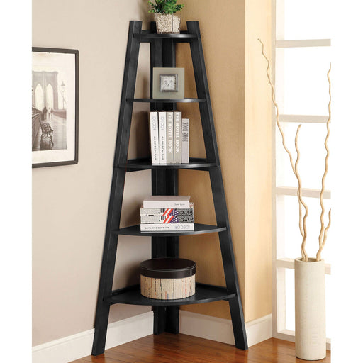 Lyss Black Ladder Shelf - Premium Bookcase from FOA East - Just $140.40! Shop now at Furniture Wholesale Plus  We are the best furniture store in Nashville, Hendersonville, Goodlettsville, Madison, Antioch, Mount Juliet, Lebanon, Gallatin, Springfield, Murfreesboro, Franklin, Brentwood