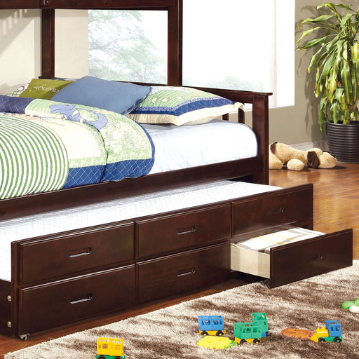 UNIVERSITY Dark Walnut Trundle w/ 3 Drawers - Premium Trundle from FOA East - Just $395.85! Shop now at Furniture Wholesale Plus  We are the best furniture store in Nashville, Hendersonville, Goodlettsville, Madison, Antioch, Mount Juliet, Lebanon, Gallatin, Springfield, Murfreesboro, Franklin, Brentwood