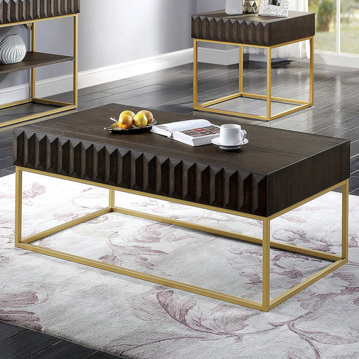 AUGSBURG Coffee Table - Premium Coffee Table from FOA East - Just $466.05! Shop now at Furniture Wholesale Plus  We are the best furniture store in Nashville, Hendersonville, Goodlettsville, Madison, Antioch, Mount Juliet, Lebanon, Gallatin, Springfield, Murfreesboro, Franklin, Brentwood