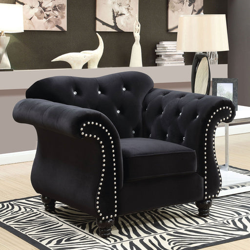 JOLANDA Chair - Premium Chair from FOA East - Just $795.60! Shop now at Furniture Wholesale Plus  We are the best furniture store in Nashville, Hendersonville, Goodlettsville, Madison, Antioch, Mount Juliet, Lebanon, Gallatin, Springfield, Murfreesboro, Franklin, Brentwood