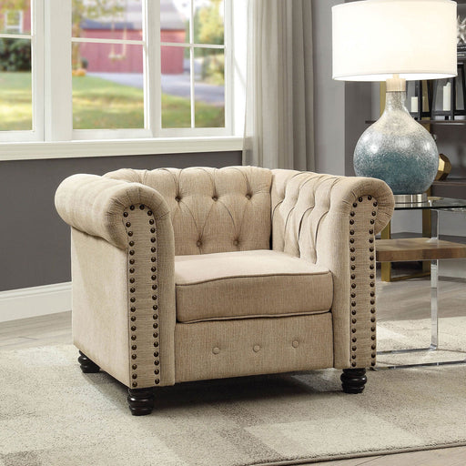 Winifred Ivory Chair - Premium Chair from FOA East - Just $491.40! Shop now at Furniture Wholesale Plus  We are the best furniture store in Nashville, Hendersonville, Goodlettsville, Madison, Antioch, Mount Juliet, Lebanon, Gallatin, Springfield, Murfreesboro, Franklin, Brentwood