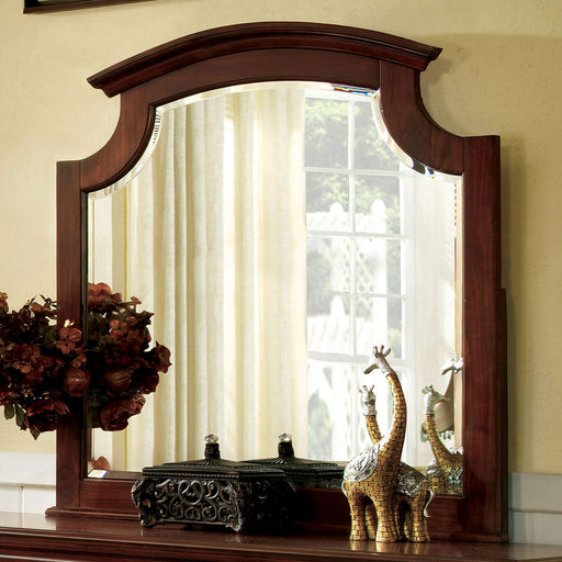 Gabrielle II Cherry Mirror - Premium Mirror from FOA East - Just $165.75! Shop now at Furniture Wholesale Plus  We are the best furniture store in Nashville, Hendersonville, Goodlettsville, Madison, Antioch, Mount Juliet, Lebanon, Gallatin, Springfield, Murfreesboro, Franklin, Brentwood