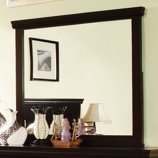 Pebble Espresso Mirror - Premium Mirror from FOA East - Just $142.35! Shop now at Furniture Wholesale Plus  We are the best furniture store in Nashville, Hendersonville, Goodlettsville, Madison, Antioch, Mount Juliet, Lebanon, Gallatin, Springfield, Murfreesboro, Franklin, Brentwood