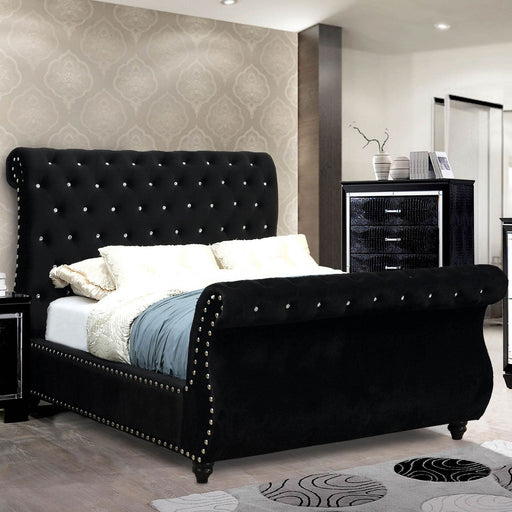 NOELLA E.King Bed - Premium Bed from FOA East - Just $1197.30! Shop now at Furniture Wholesale Plus  We are the best furniture store in Nashville, Hendersonville, Goodlettsville, Madison, Antioch, Mount Juliet, Lebanon, Gallatin, Springfield, Murfreesboro, Franklin, Brentwood