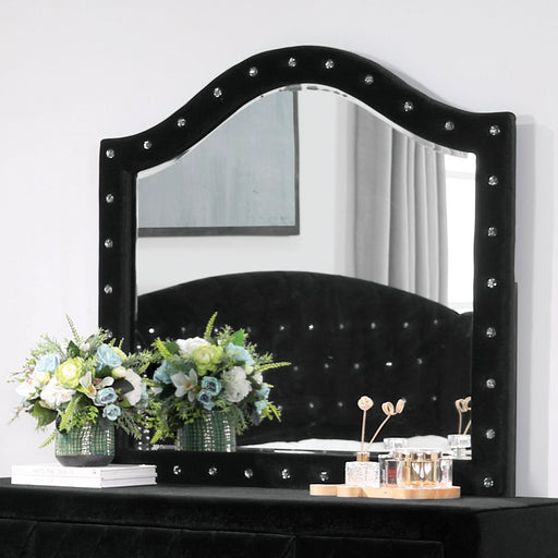 ZOHAR Mirror, Black - Premium Mirror from FOA East - Just $165.75! Shop now at Furniture Wholesale Plus  We are the best furniture store in Nashville, Hendersonville, Goodlettsville, Madison, Antioch, Mount Juliet, Lebanon, Gallatin, Springfield, Murfreesboro, Franklin, Brentwood
