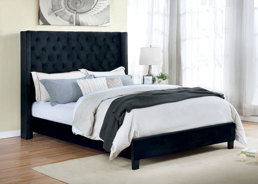 RYLEIGH Bed - Premium Bed from FOA East - Just $421.20! Shop now at Furniture Wholesale Plus  We are the best furniture store in Nashville, Hendersonville, Goodlettsville, Madison, Antioch, Mount Juliet, Lebanon, Gallatin, Springfield, Murfreesboro, Franklin, Brentwood