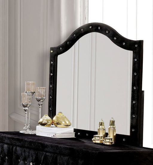 Alzire Black Mirror - Premium Mirror from FOA East - Just $191.10! Shop now at Furniture Wholesale Plus  We are the best furniture store in Nashville, Hendersonville, Goodlettsville, Madison, Antioch, Mount Juliet, Lebanon, Gallatin, Springfield, Murfreesboro, Franklin, Brentwood